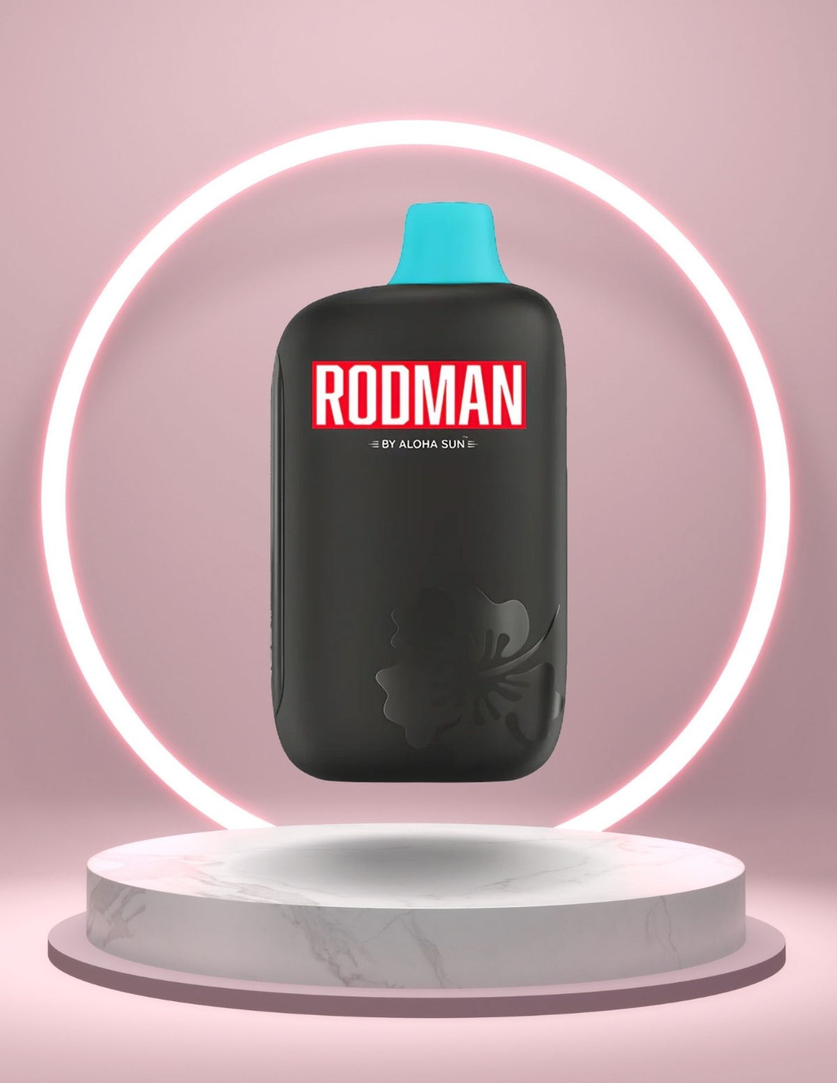 RODMAN 9,100 HITS