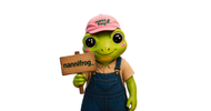 Nanni Frog  - Inicio